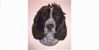 The winner of a special raffle will have a pastel portrait of their beloved pet created by highly-talented local artist, Rachael White