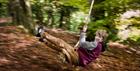 Rope Swing at Woodchester Park (photo by Andrew Butler ©National Trust Images)