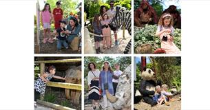 Photos of people enjoying Sudeley's Animal Ark