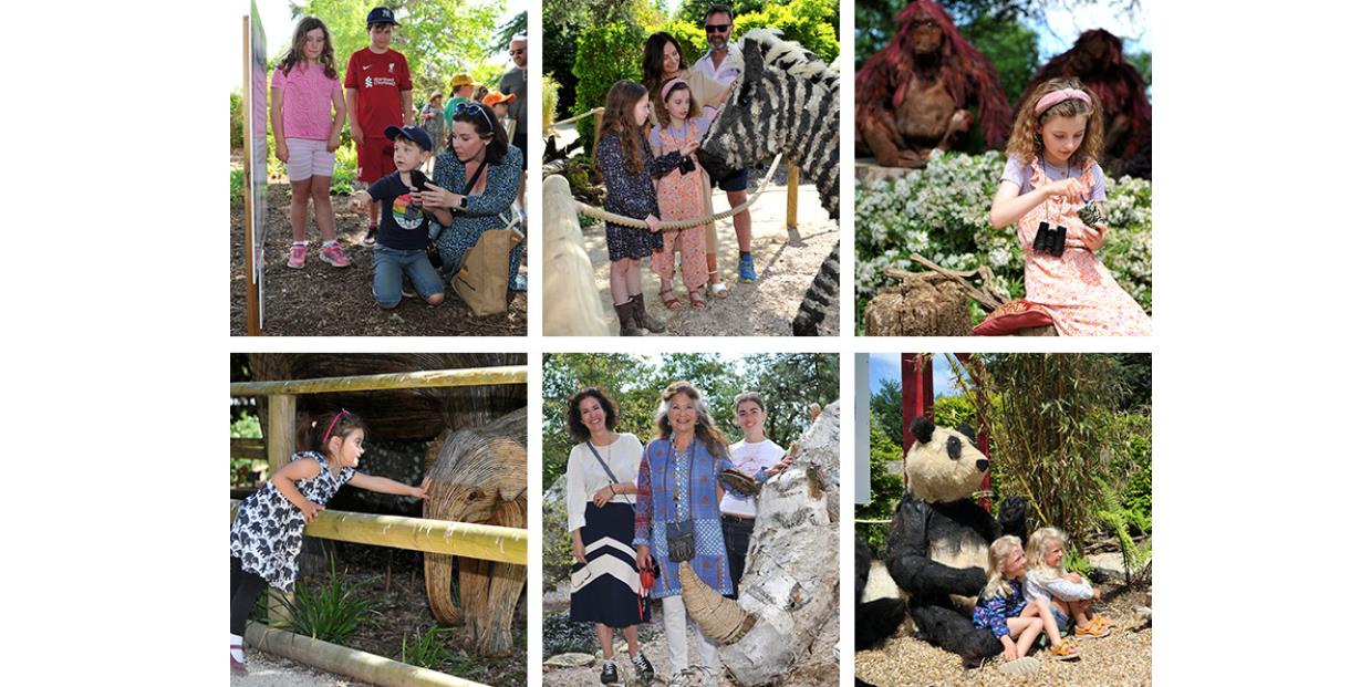 Photos of people enjoying Sudeley's Animal Ark