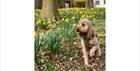 A dog standing next to the daffodils
