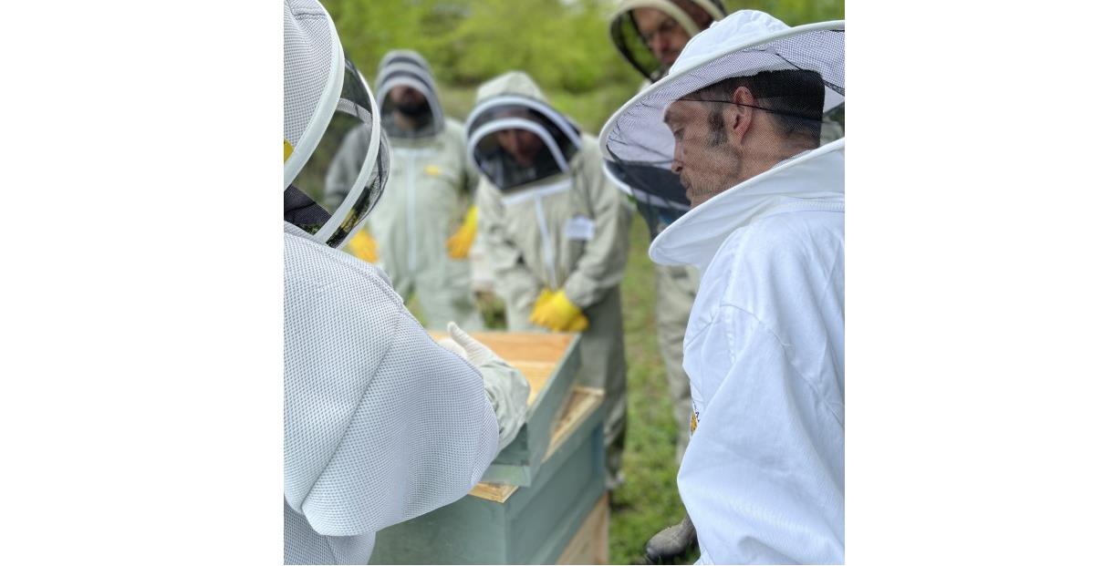 Bee Keeping course