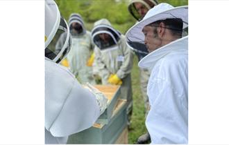 Bee Keeping course