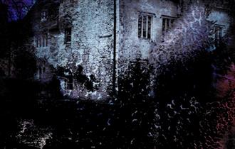 Witch's House after dark spooky image