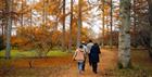 Group walking through an autumnal forest