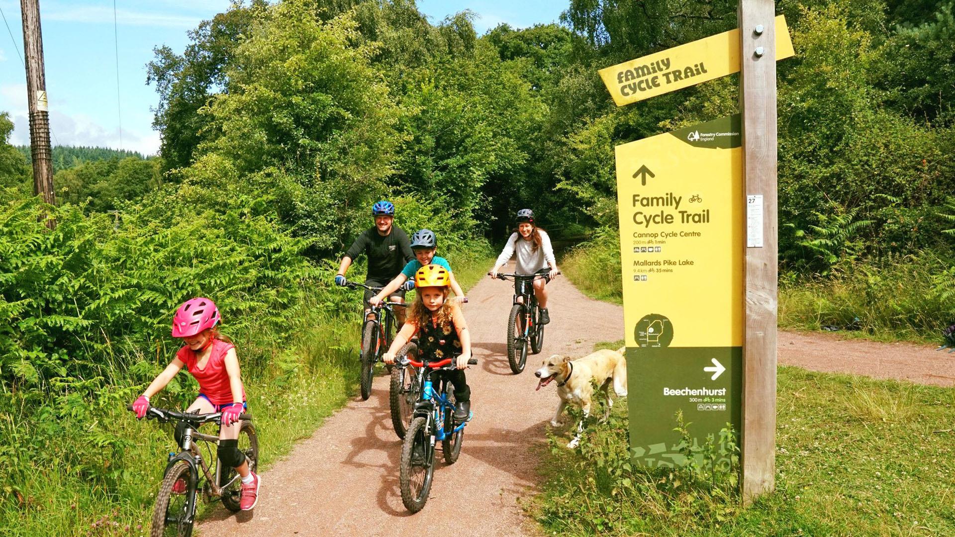 new forest cycle routes for families