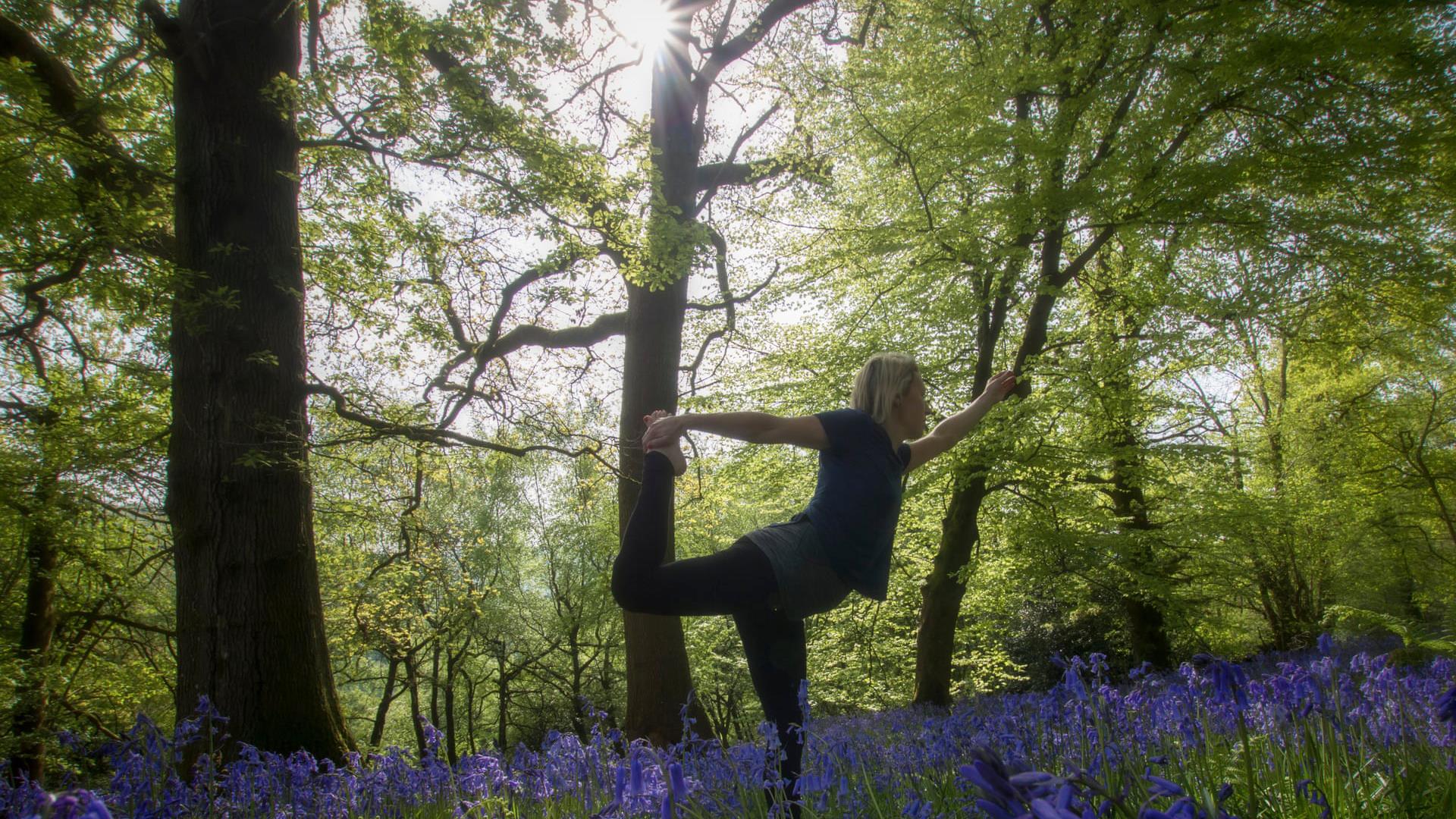 Secret Yoga Garden  Yoga Classes in Burgess Hill Sussex