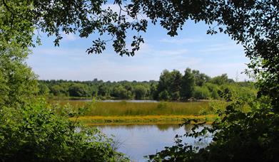 Woorgreens Lake and Nature Reserve