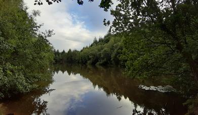 Speech House Lake