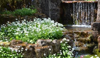 Lydney Park Spring Gardens-Roman Temple Site