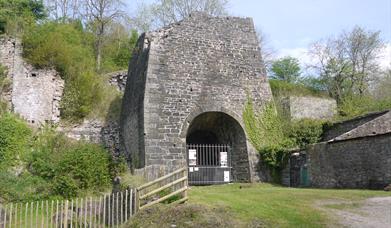 The furnace at Whitecliff Iron Works, Coleford