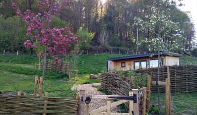 The Nest Luxury Glamping trees blossom