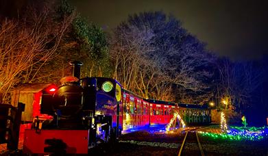 twilight train