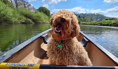 Symonds Yat Canoe Hire Limited