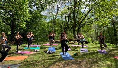 Forest Retreats - Yoga, Wellbeing and Forest Bathing