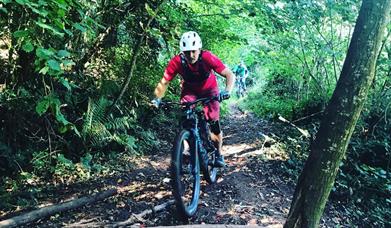 Wye MTB