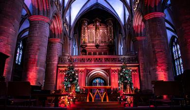 Cathedral Christmas Experience at Night