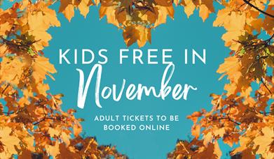 Kids Go Free!