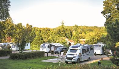 Whitemead Forest Park - Camping & Caravans