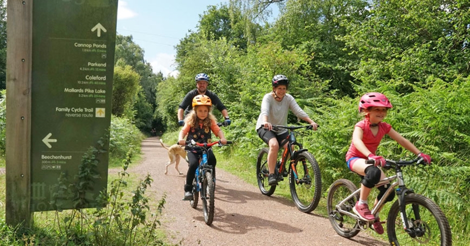 Cycling in the Forest of Dean and Wye Valley