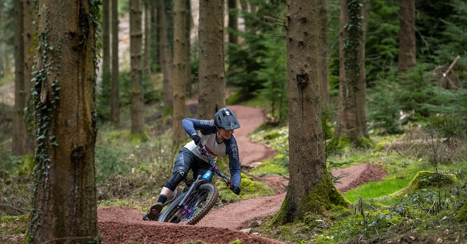 forest of dean cycling centre