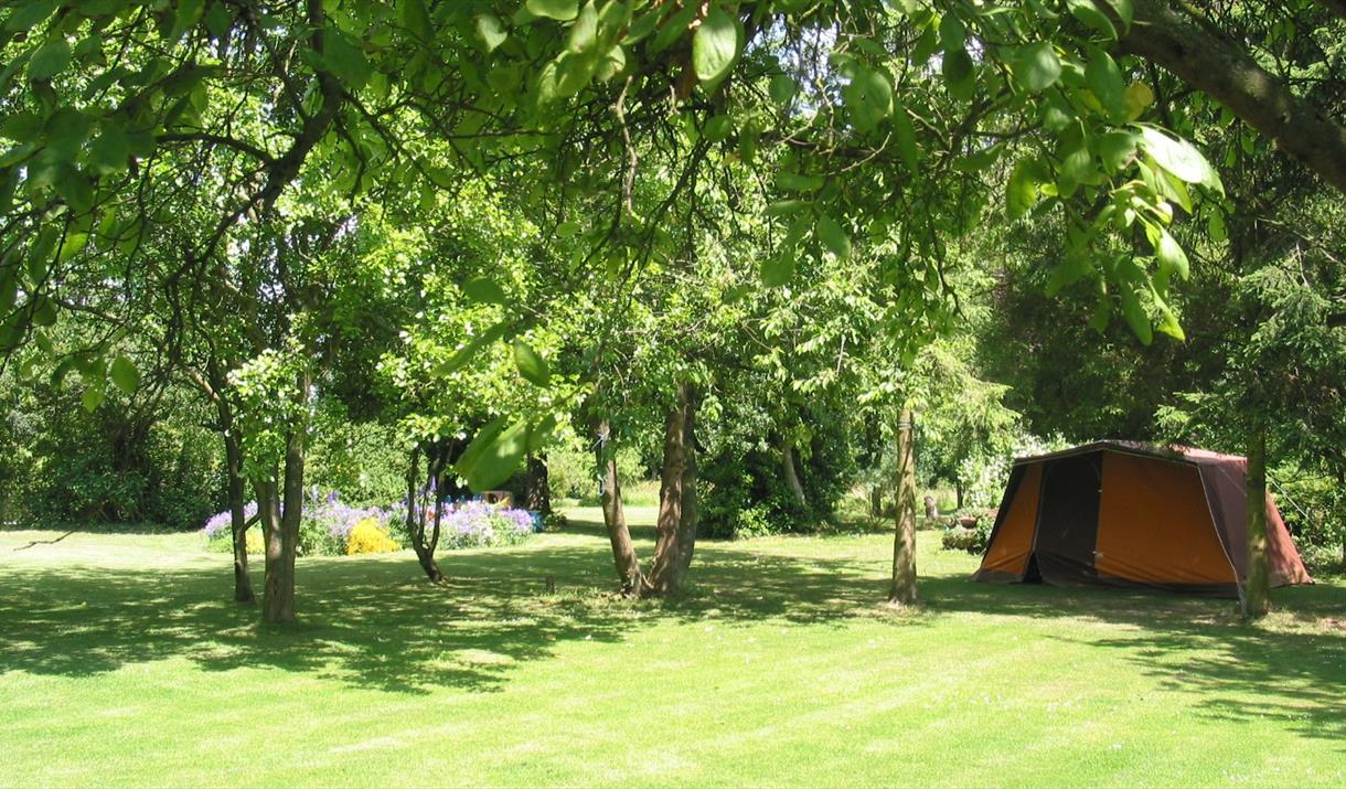 Forest Gate