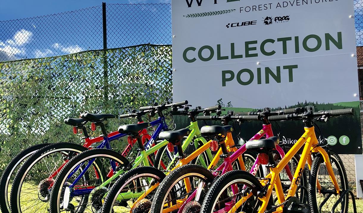 Ultimate Family Cycling Adventure Experience Full Day Experience Gloucestershire Visit Dean Wye