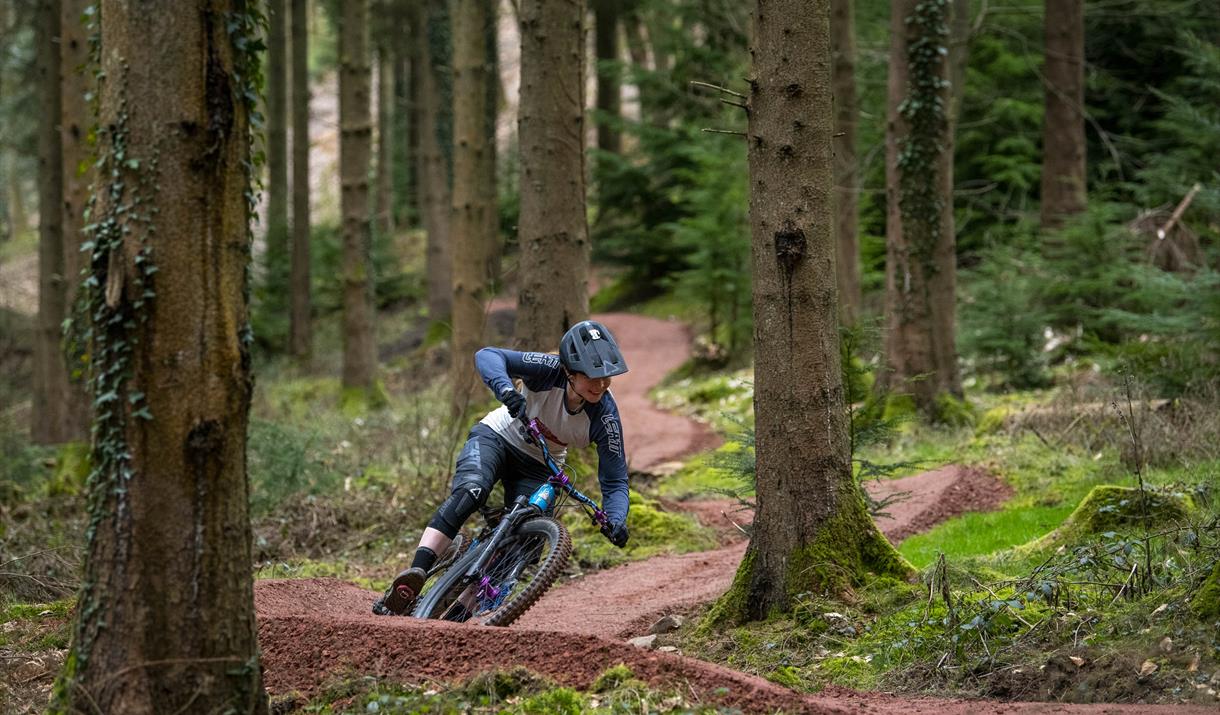 Cycling and mountain biking trails at Dalby Forest