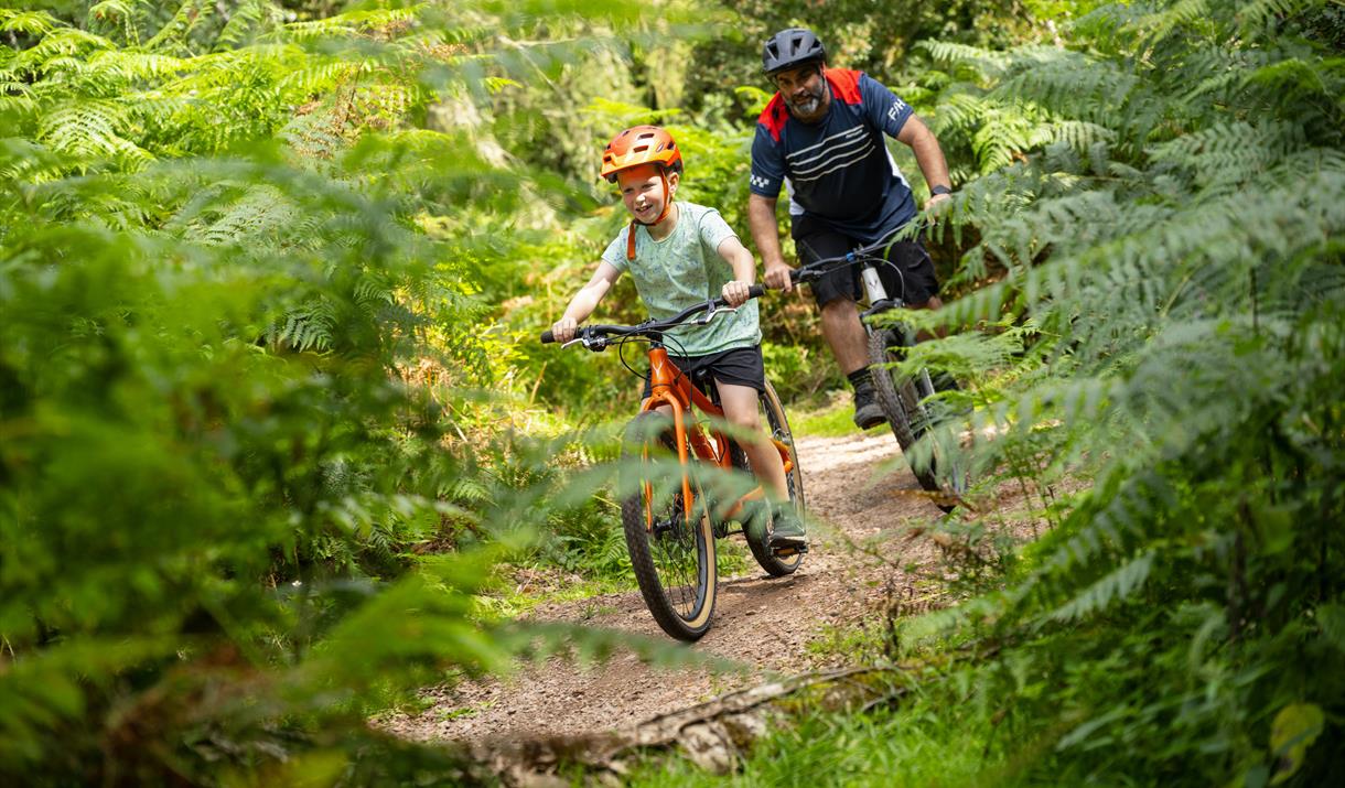 Pedalabikeaway Cycle Hire Gloucestershire Visit Dean Wye
