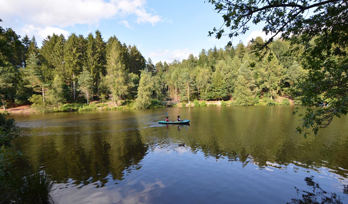 People canoeing Mallards Pike Lake in the Forest of Dean