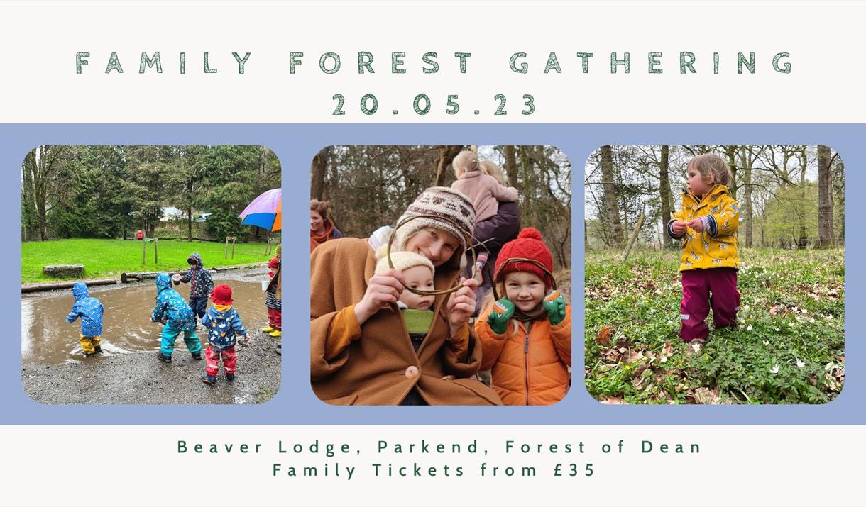 Family Forest Gathering