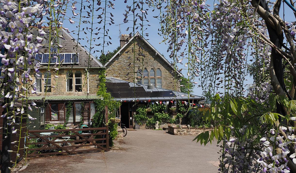 front of the house with a driveway and bloomimg trees in the forefront