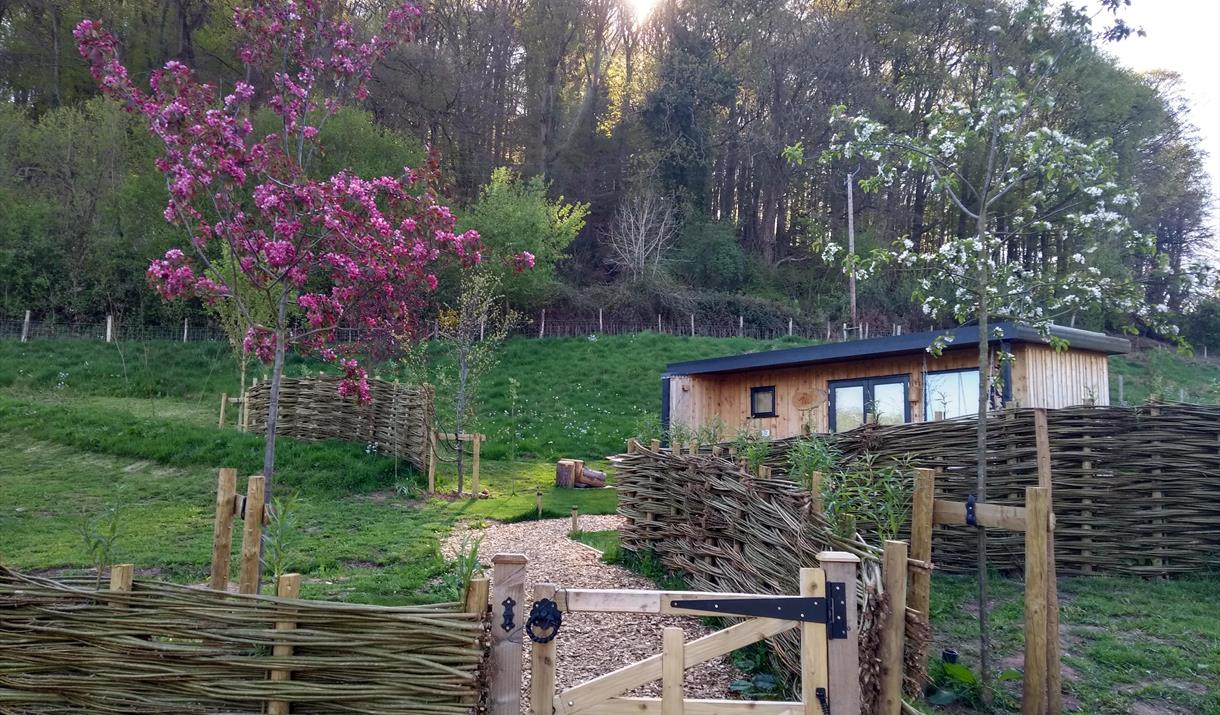 The Nest Luxury Glamping trees blossom