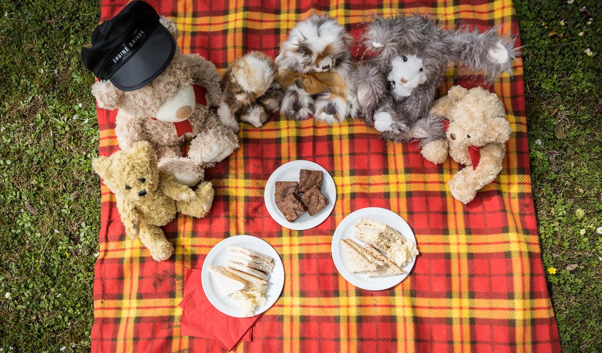 teddy bears picnic perrygrove