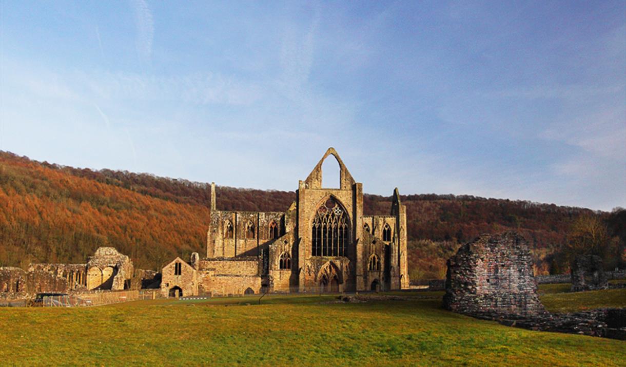 David Broadbent - One to one photography experience - Tintern Abbey