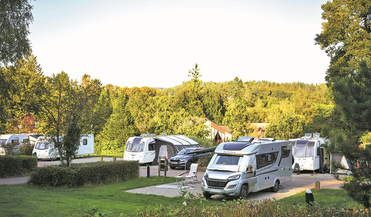 Whitemead Forest Park - Camping & Caravans