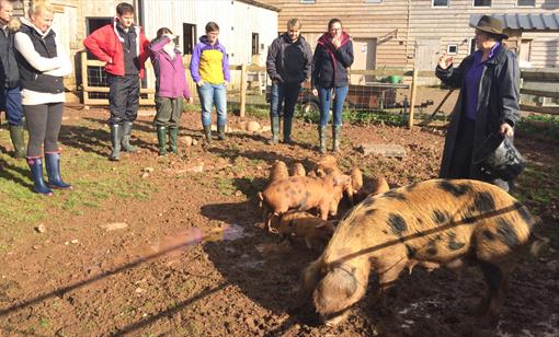 SMALLHOLDING FOR BEGINNERS at Humble by Nature