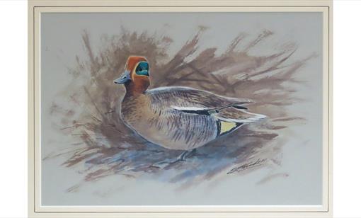 Nature’s Beauty – An Auction Exhibition at Nature in Art, Gloucester