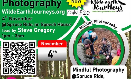 4th November Mindful Photography at Spruce Ride, near Speech House