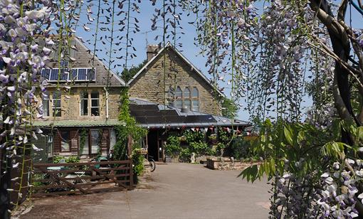 front of the house with a driveway and bloomimg trees in the forefront