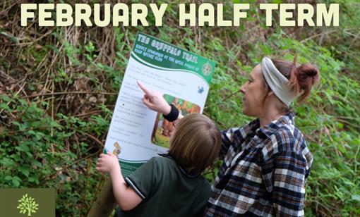 February Half-Term