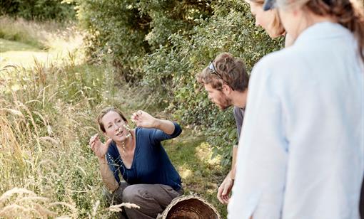 Foraging & Making with Liz Knight