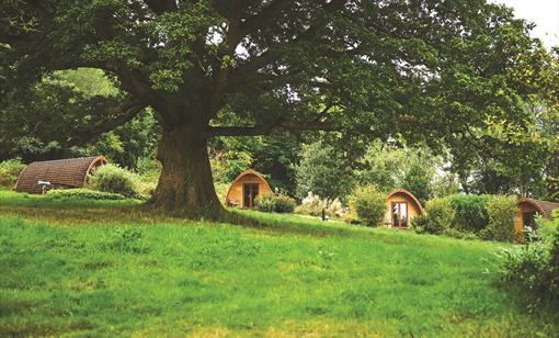 Whitemead Forest Park - Glamping Pods