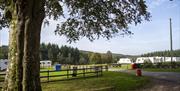 Bracelands Campsite – Cosy glamping pods