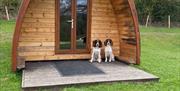 Bracelands Campsite – Cosy glamping pods