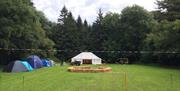 tents at a field@ Noxon Farm