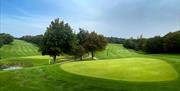 Forest Hills Golf Club