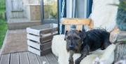 The Roost Luxury Glamping dog friendly