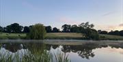 5 acre pond view with cows in the distance@ Noxon Farm 
