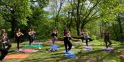 Forest Retreats - Yoga, Wellbeing and Forest Bathing